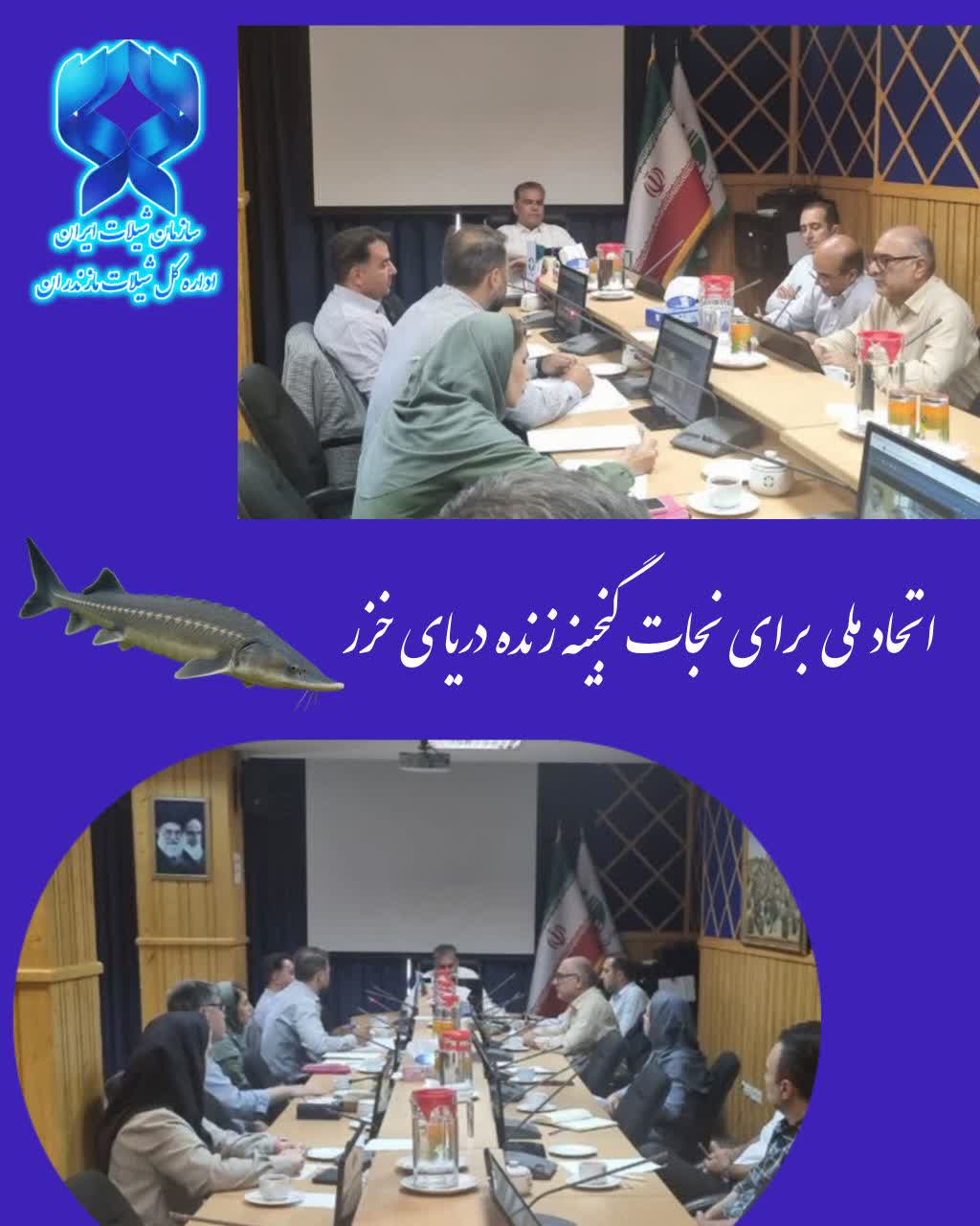 از حفظ ژن تا احیای نسل؛ آغاز فصل تازه حفاظت از ماهیان خاویاری