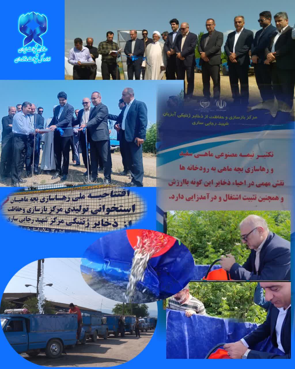 پایداری زیستی دریای خزر در گرو بازسازی ذخایر