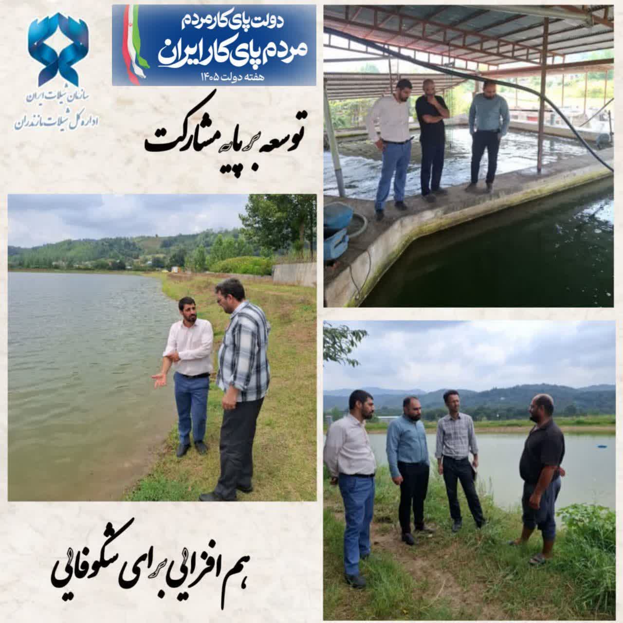 تثبیت جایگاه شیلات در زنجیره تولید؛ بازدید میدانی از مزارع سردآبی و گرمابی سوادکوه