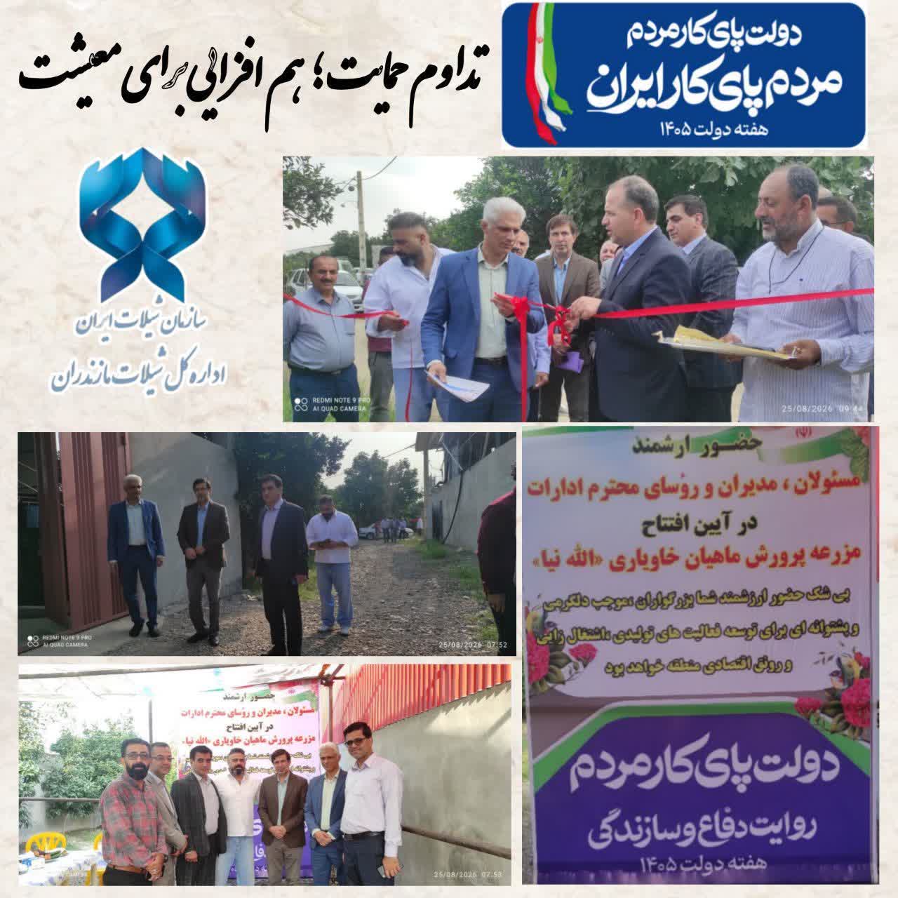 گامی بلند در توسعه آبزیپروری مازندران؛ افتتاح مزرعه پرورش ماهیان خاویاری در شهرستان بابل