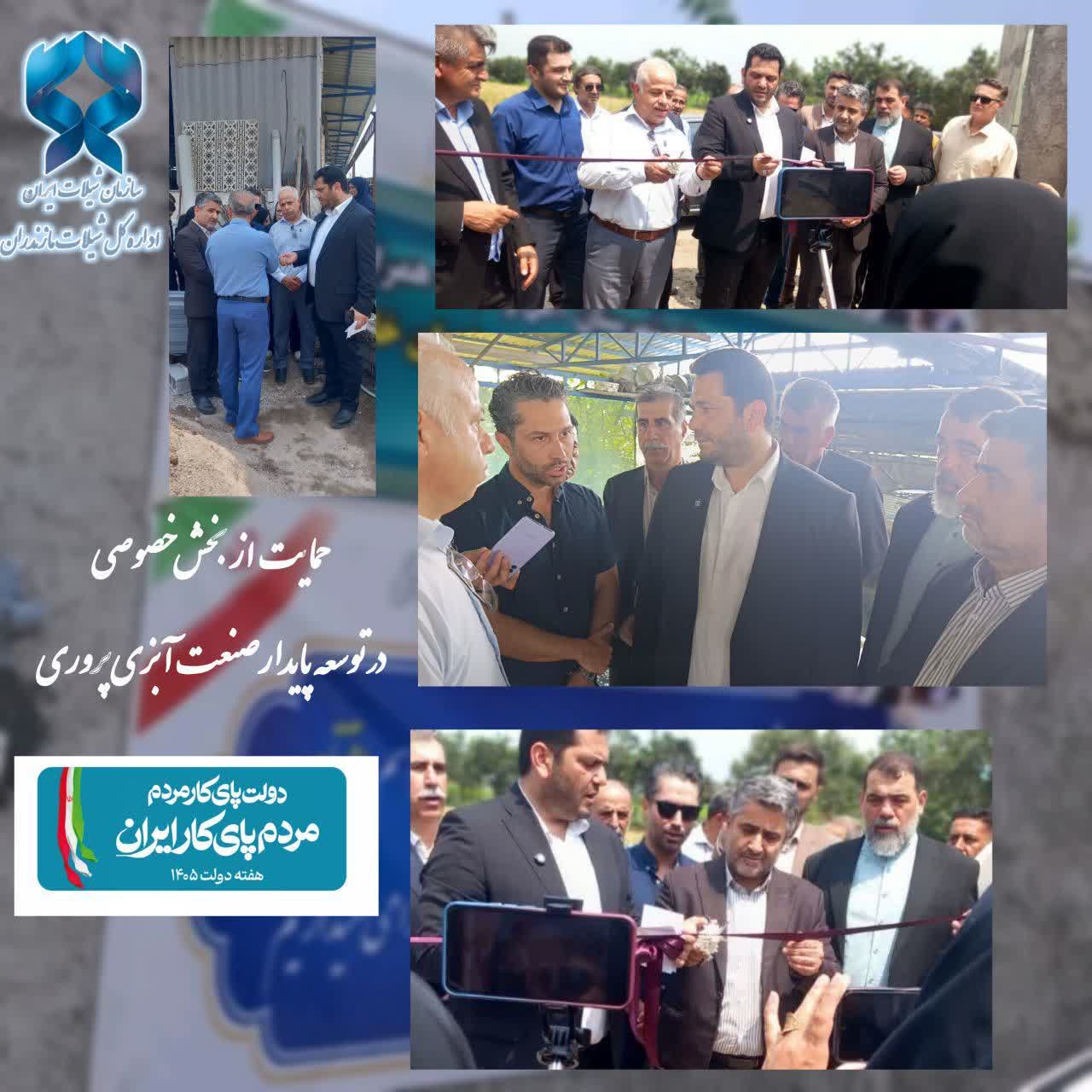 رونق سرمایه گذاری بخش خصوصی در آبزی پروری آمل
