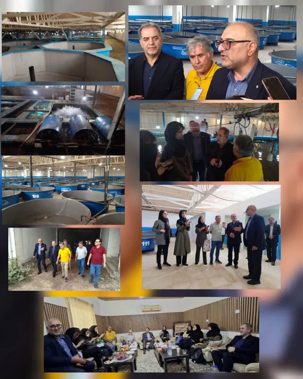 از زیرساخت تا تولید؛ بررسی میدانی چالشهای مزرعه خاویاری سیمرغ