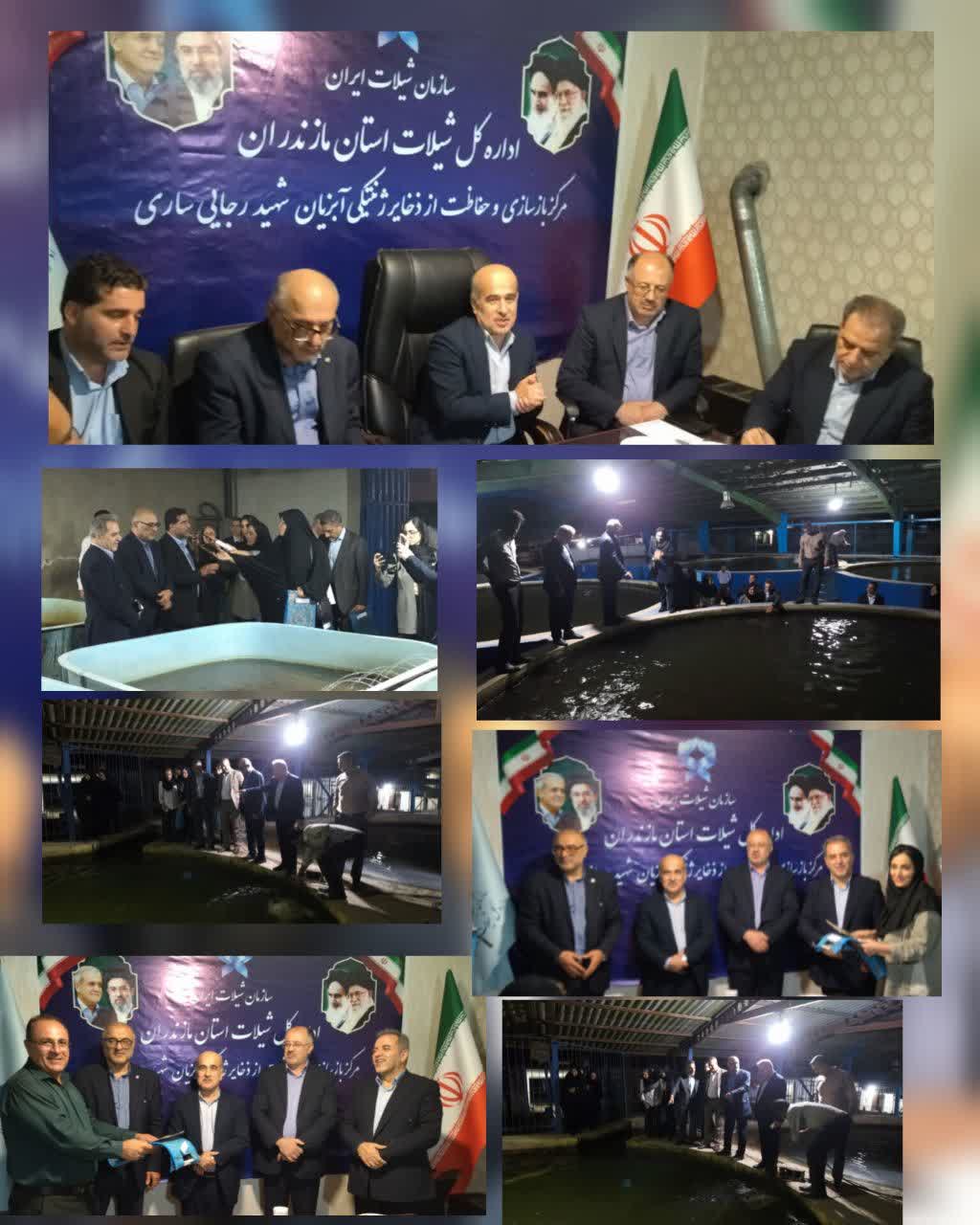 ظرفیتهای شیلات مازندران در قاب رسانههای اعزامی سازمان شیلات ایران