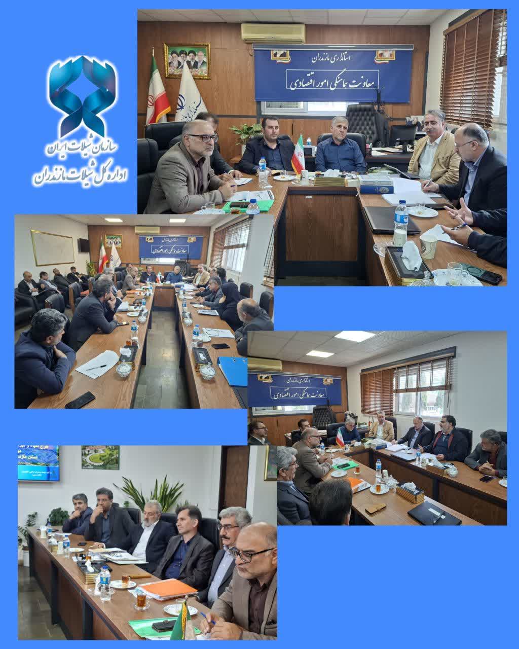 شتاب در مسیر راهاندازی شهرک شیلاتی و توسعه پرورش میگو در بهشهر